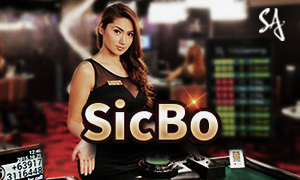 8800 bet x game cassino Jogue online