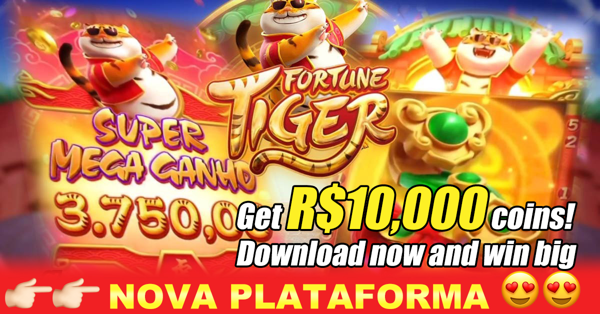 8800 bet jogos no poki cassino on-line